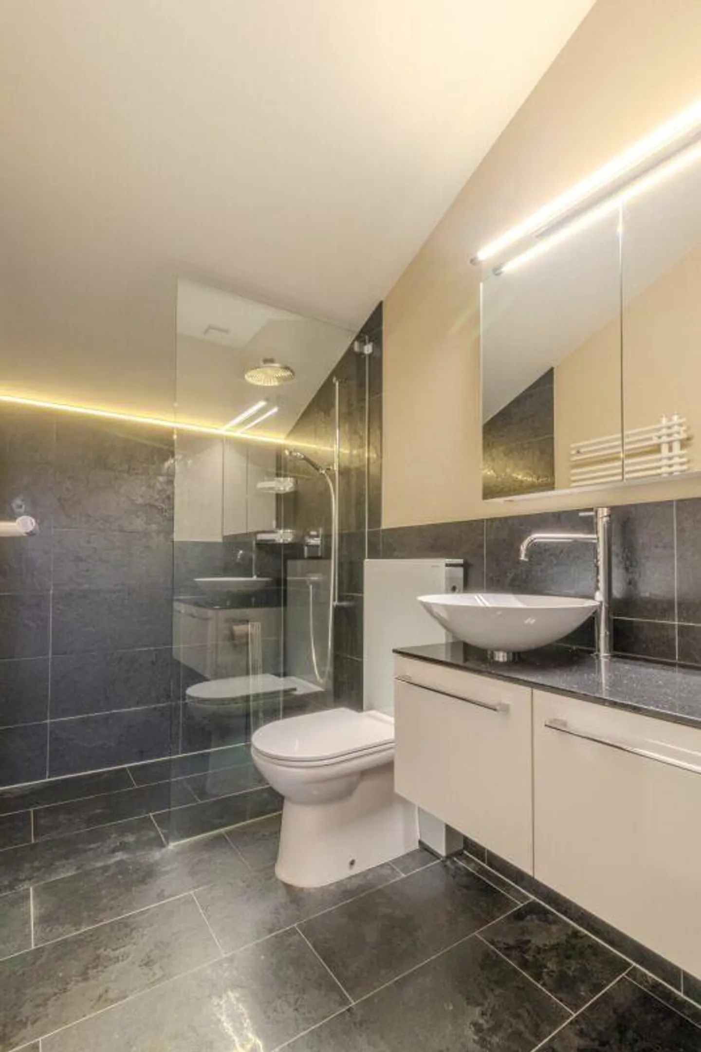 4.5 Z' attic apartment - centrally located in Muttenz, ideal for commuters! - Photo 7 of 12