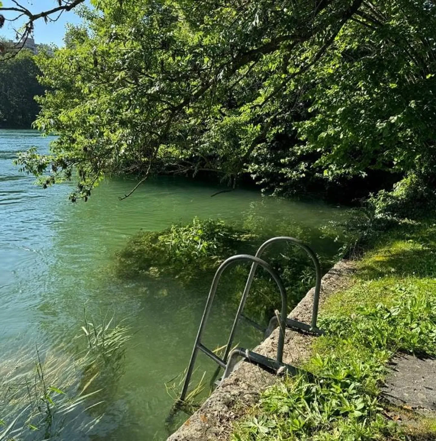 Unico sull'acqua - Foto 1 di 11