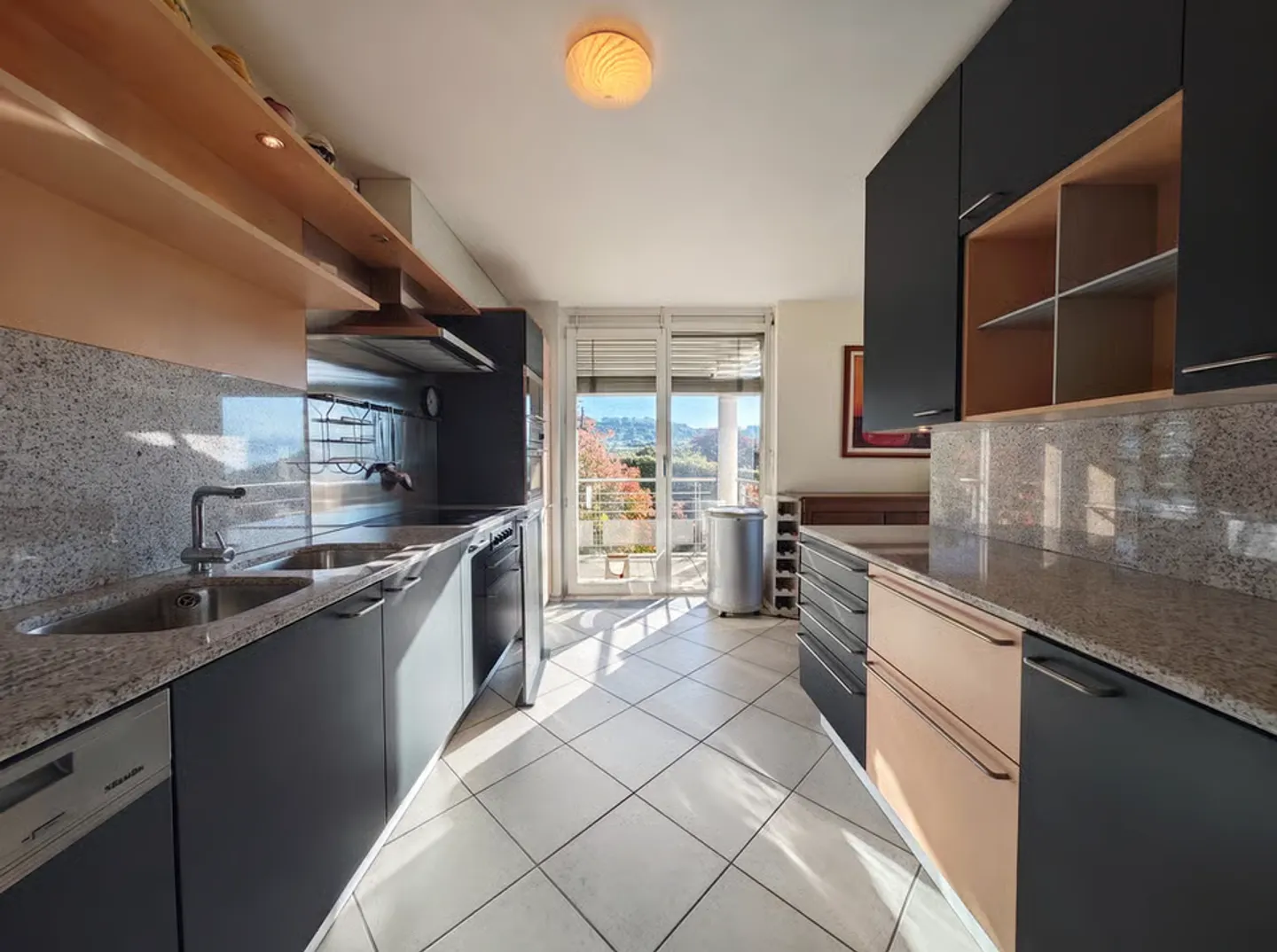180-degree panoramic view of Lake Geneva - Spacious 4.5 rooms - Photo 4 of 10