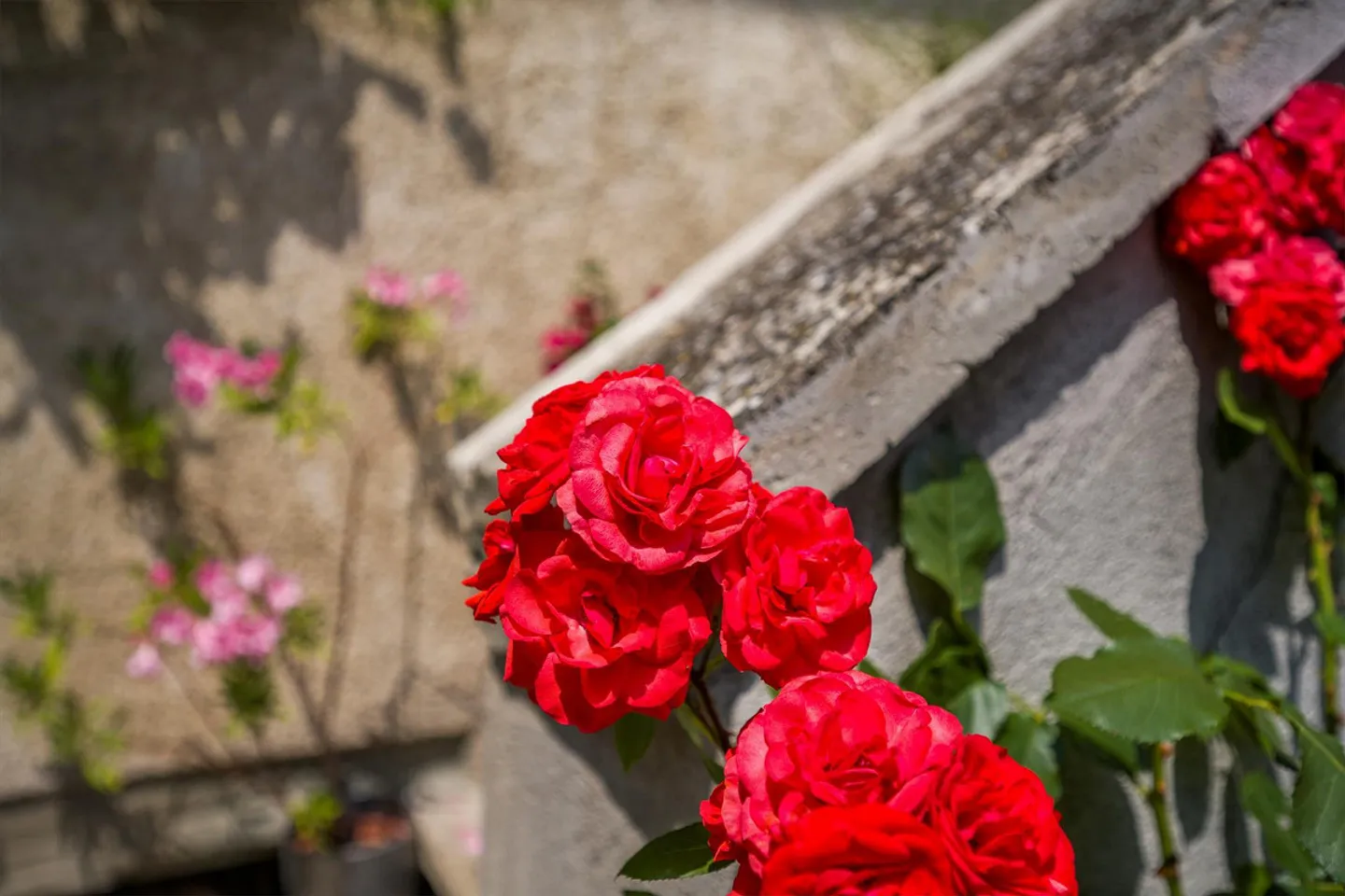 Un morceau d'histoire : Propriété unique avec utilisation polyvalente - Photo 13 sur 13