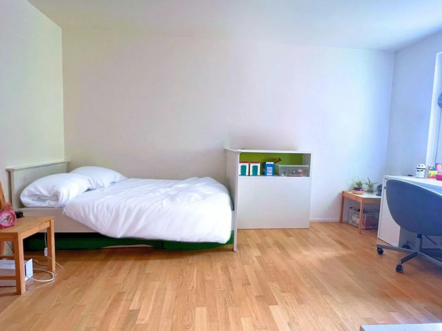 Charming core house for rent, with garden - Photo 6 of 14