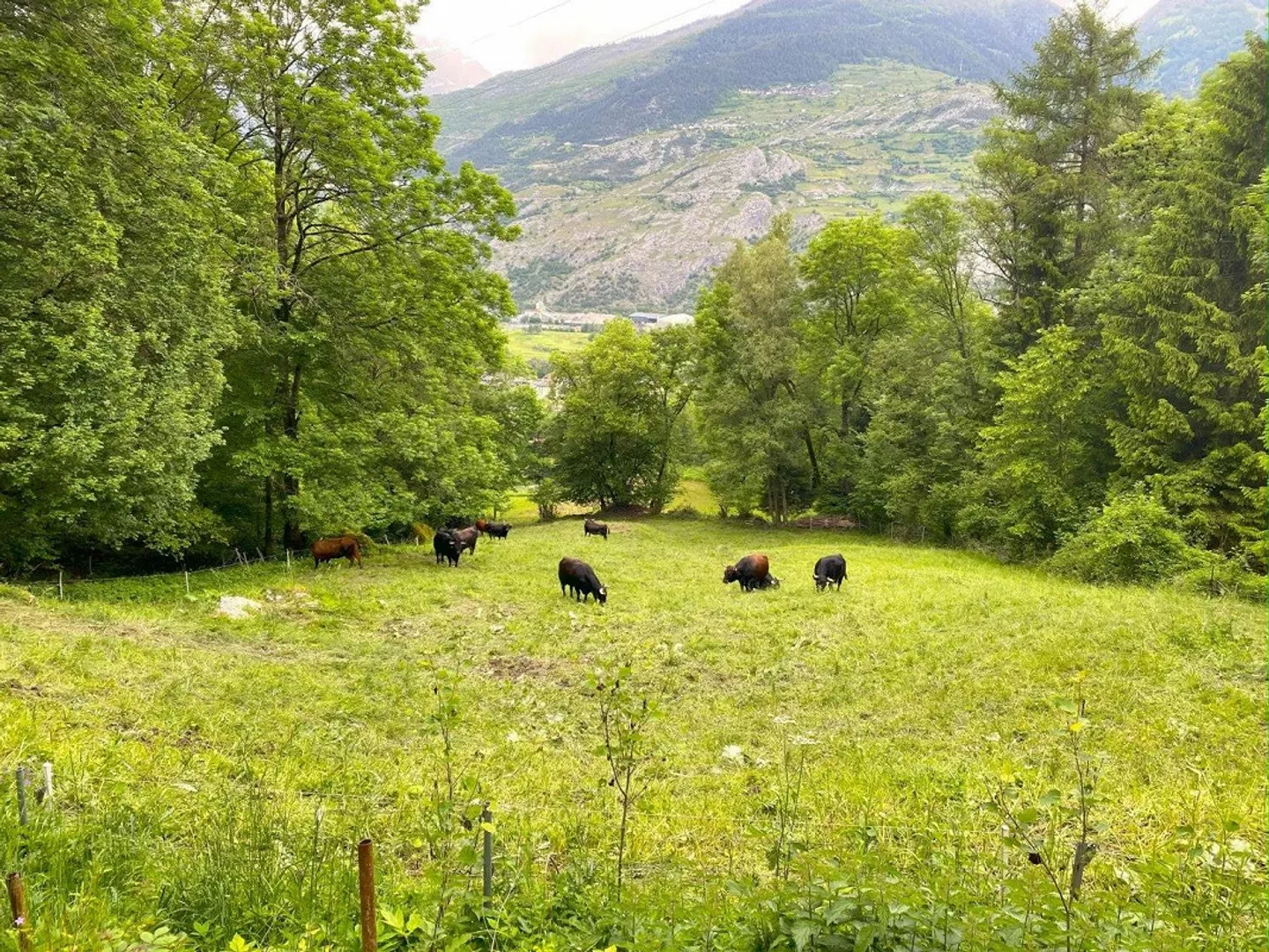 Charmantes Chalet in idyllischer Natur - Foto 12 von 13