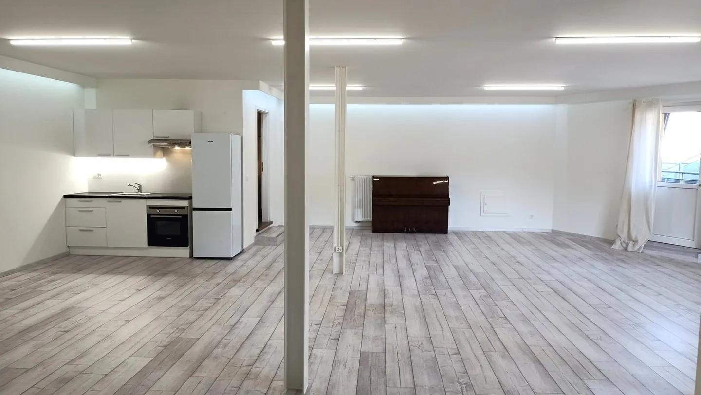 Espace spacieux divisible pour vivre et travailler - Photo 2 sur 11