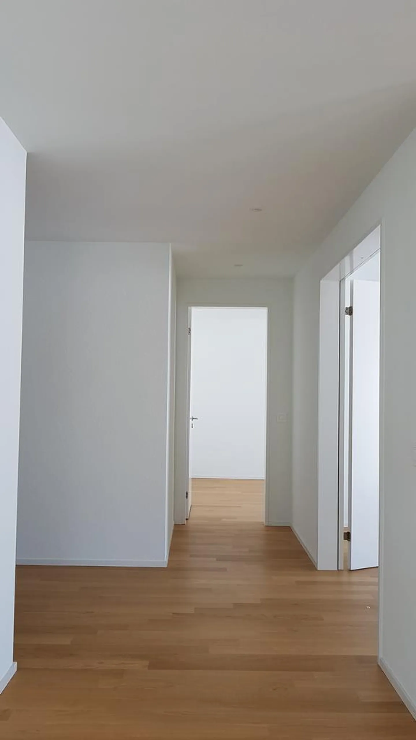 3.5 Room Apartment - Photo 5 of 8
