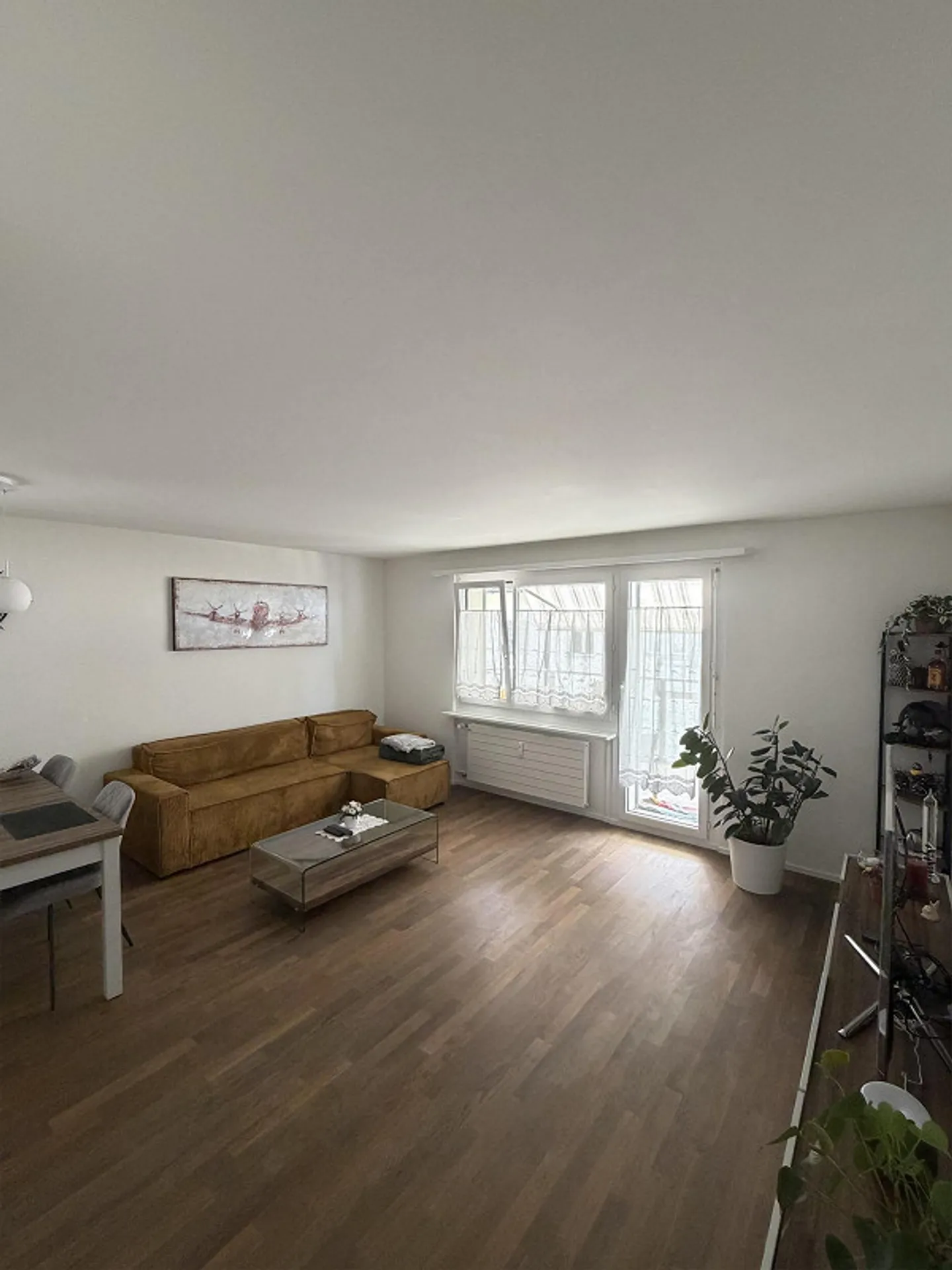 Zimmer in WG - Foto 1 von 5