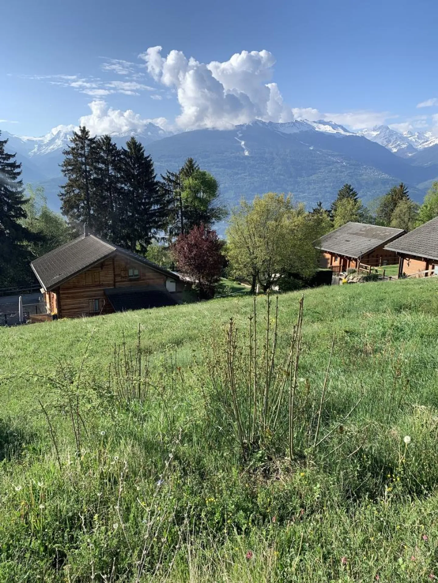 Construisez votre chalet de rêve - Photo 1 sur 6