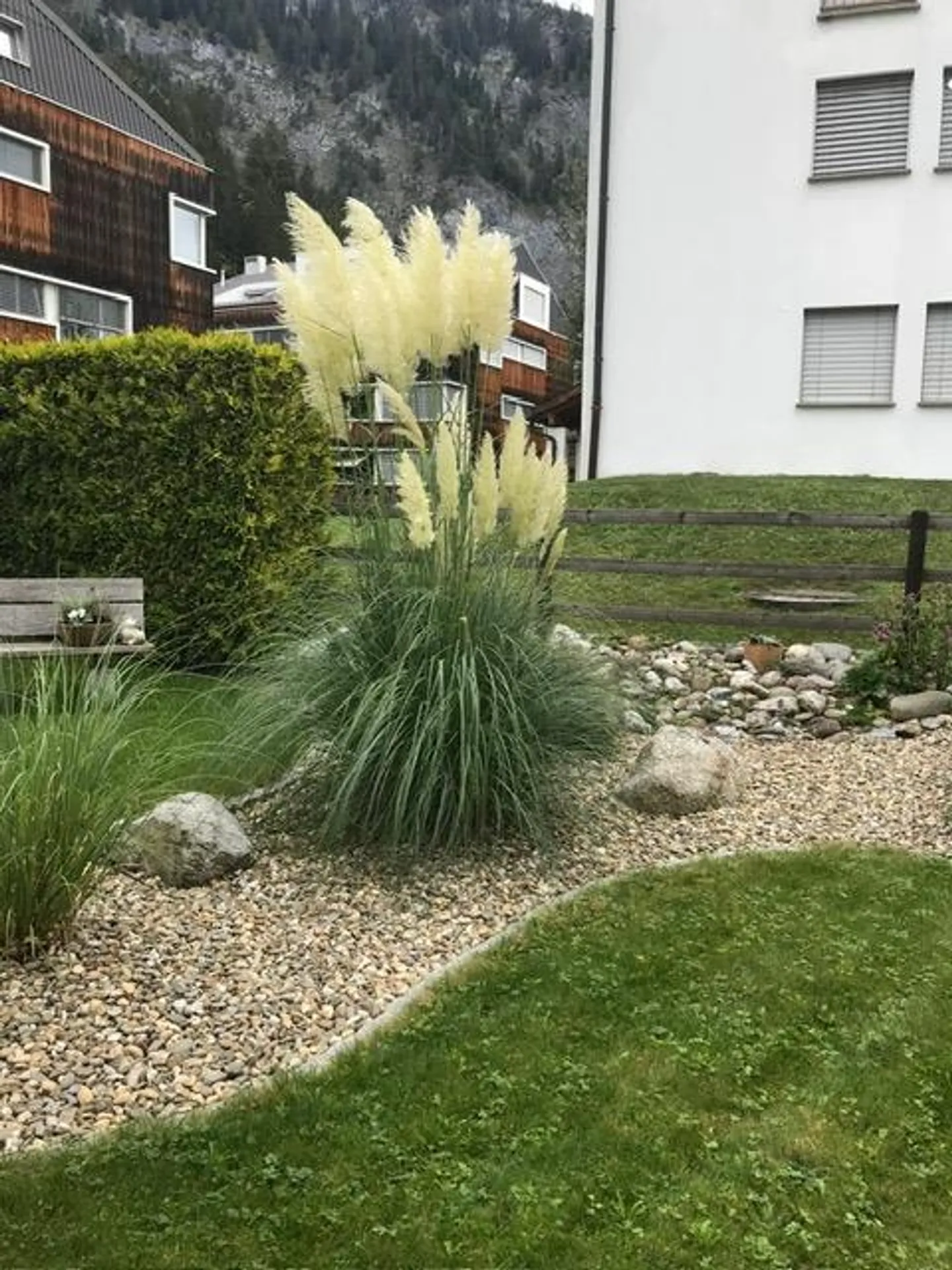 Charming, fully furnished 3 1/2-room apartment - Photo 3 of 11