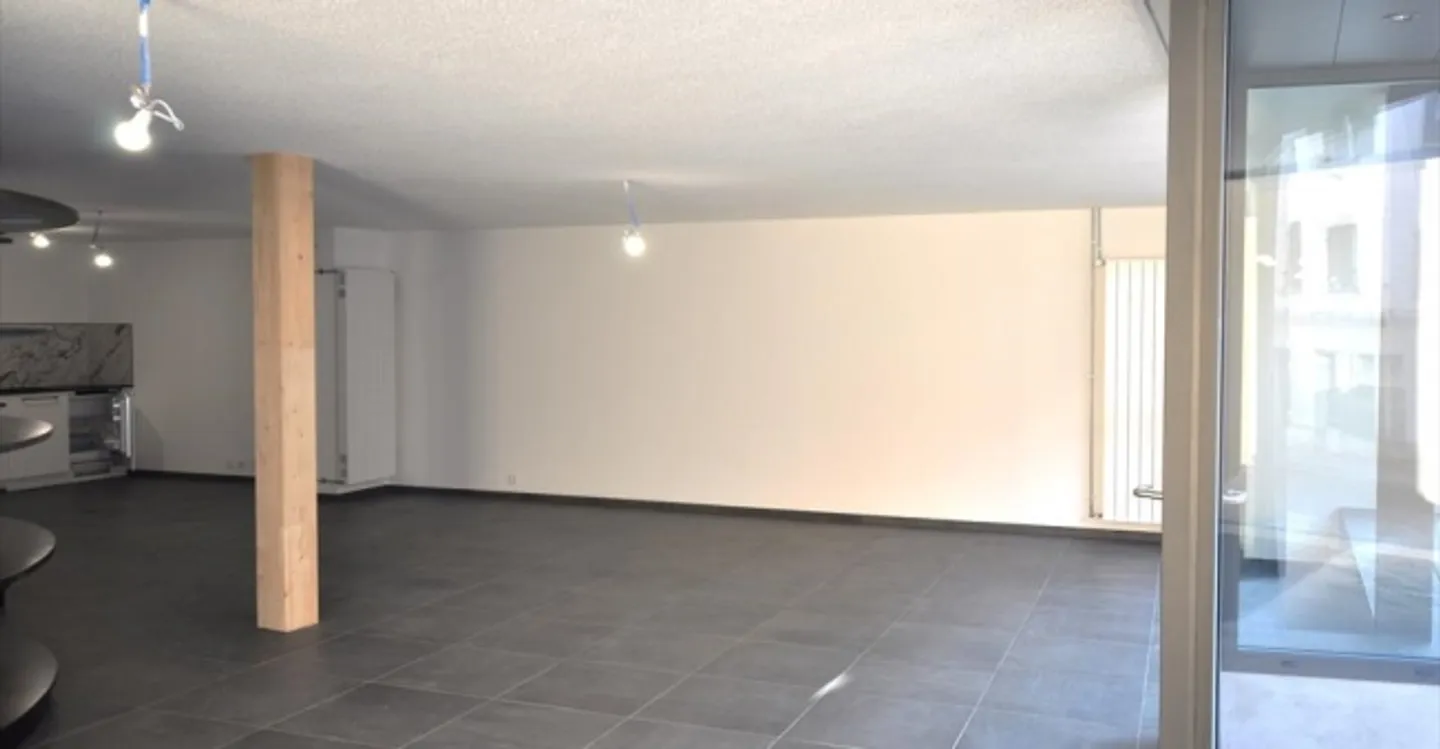 Commercial Space 1 Room - Photo 6 of 13