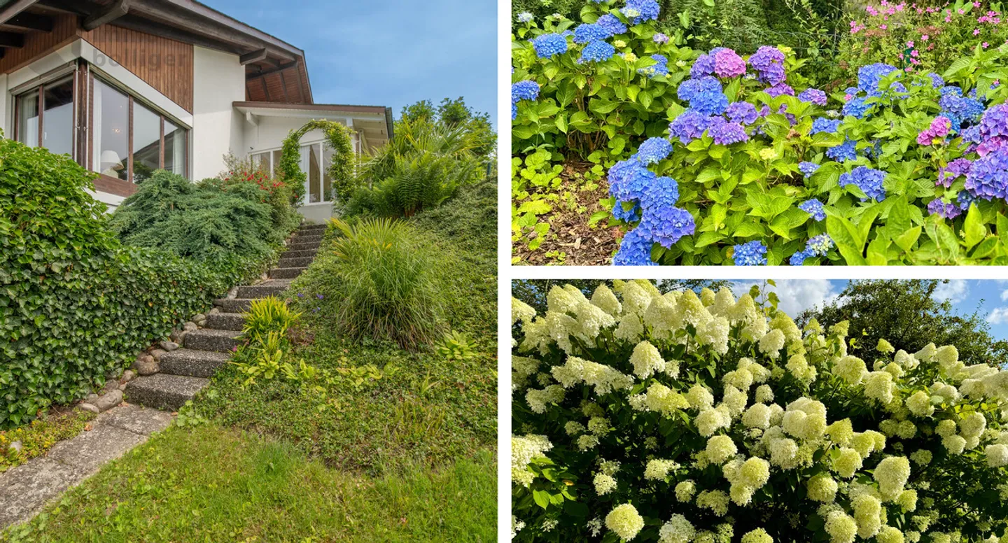 L'architettura incontra la natura – Vivere con una veranda e vista panoramica - Foto 17 di 18