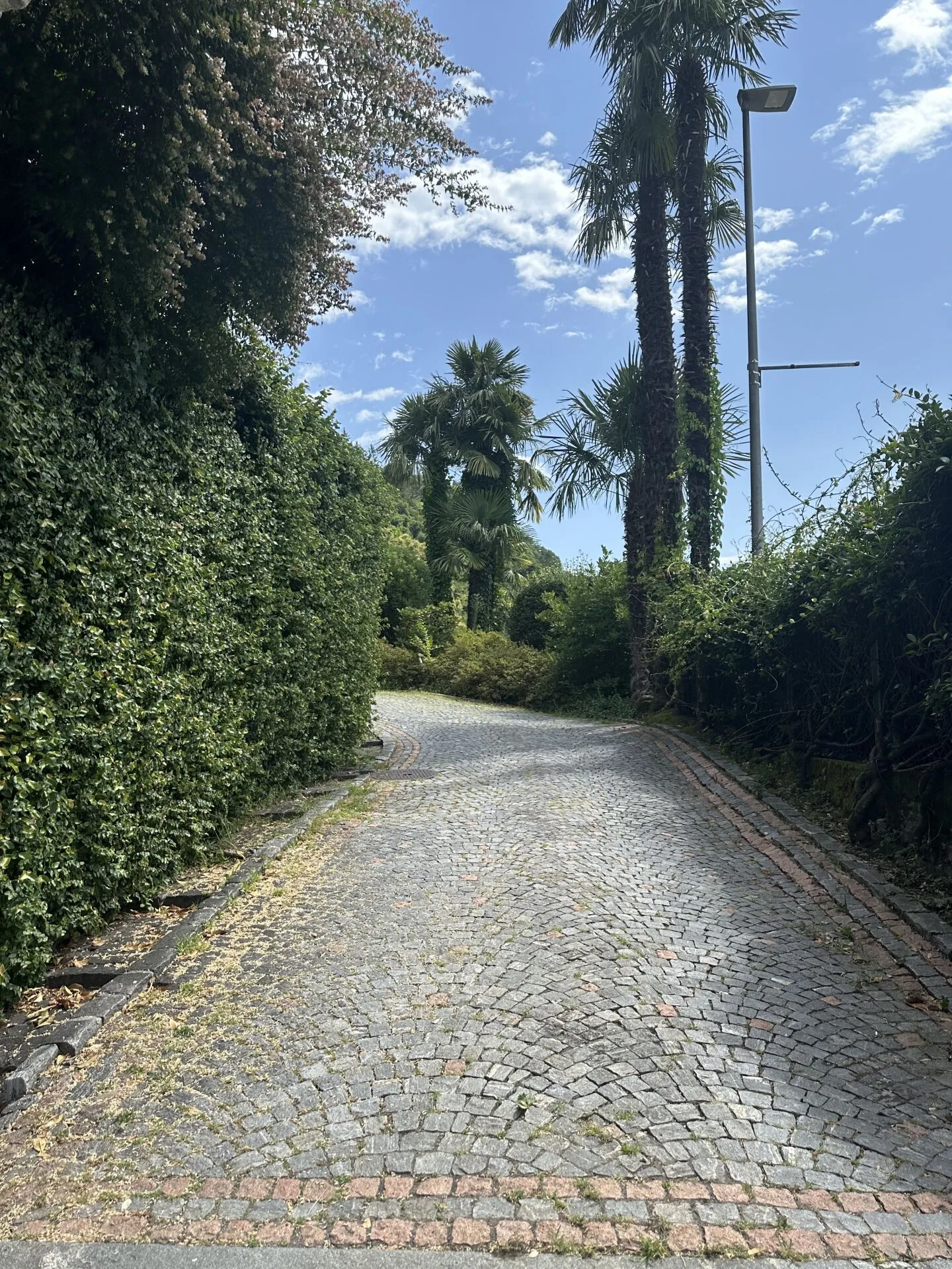 Maisonette di 3½ locali sul Lago Maggiore - Foto 6 di 8