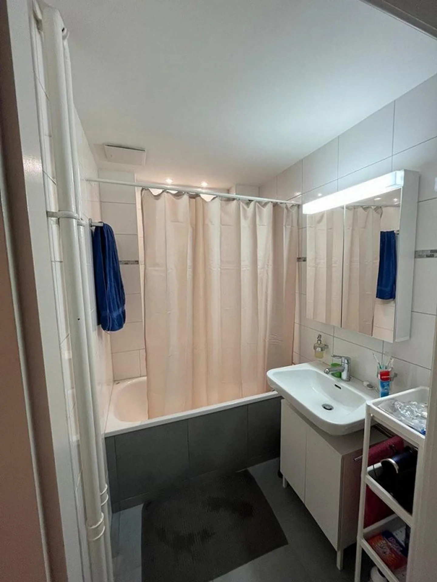 Dachwohnung mit viel Licht und Luft im Riethüsli - Foto 3 von 8