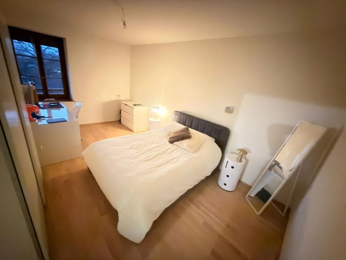 Bellissimo appartamento di 4 locali completamente ristrutturato nella campagna di Ginevra - Foto 5 di 10