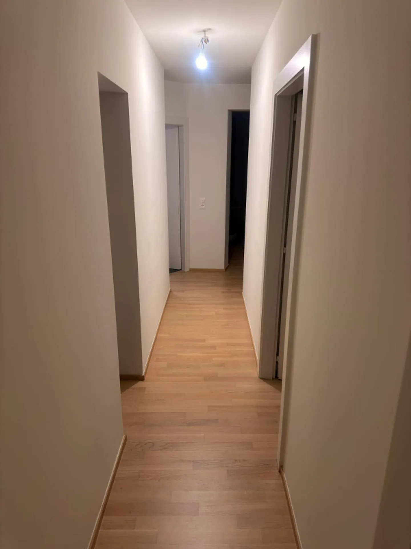 Bellissimo appartamento di 4 locali completamente ristrutturato nella campagna di Ginevra - Foto 6 di 10