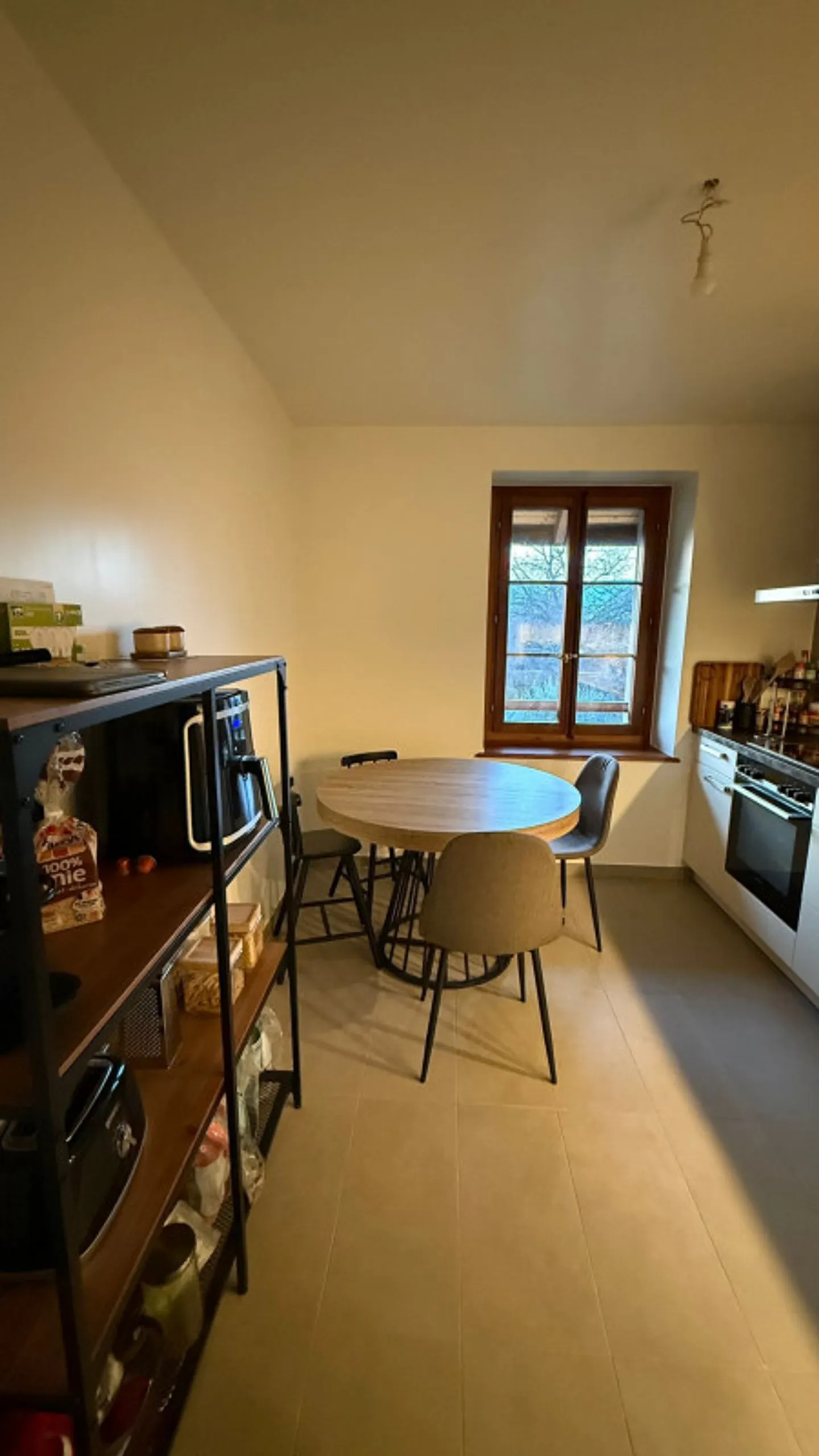 Bellissimo appartamento di 4 locali completamente ristrutturato nella campagna di Ginevra - Foto 9 di 10