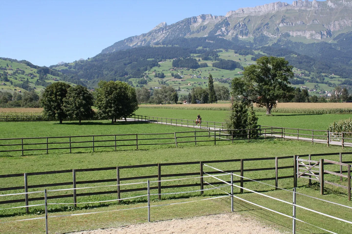 Original Living in the Green - Photo 1 of 3