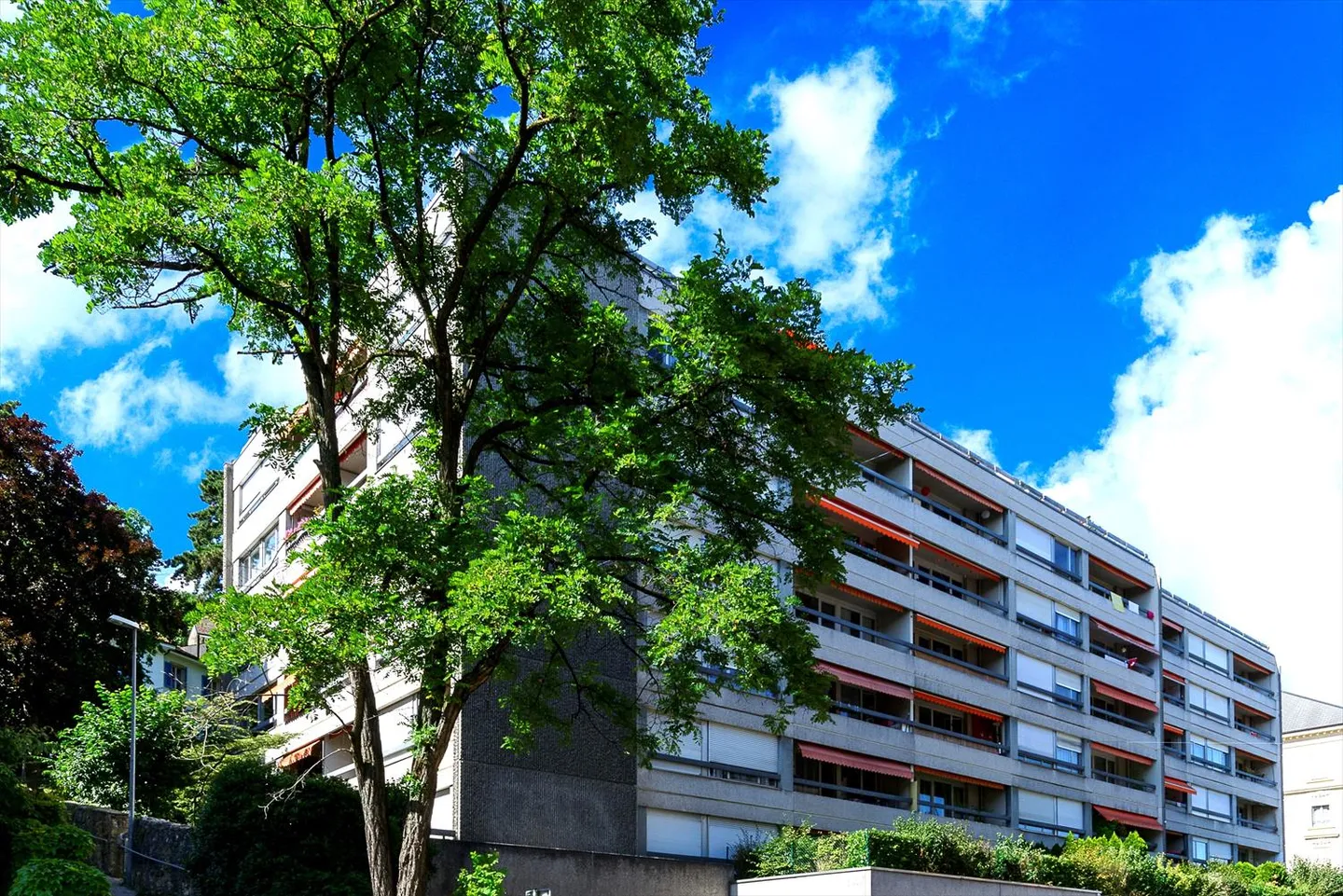 Unico e raffinato - Foto 11 di 11