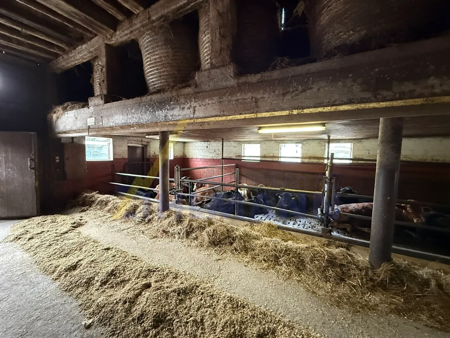 Terrain spacieux avec ferme - Photo 15 sur 15