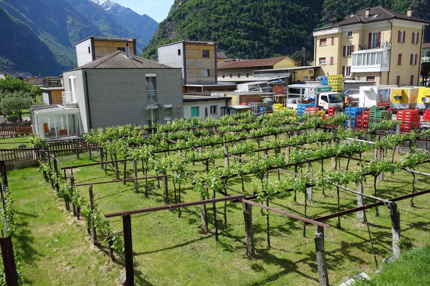 1219 m2 land with approved license - Photo 3 of 5