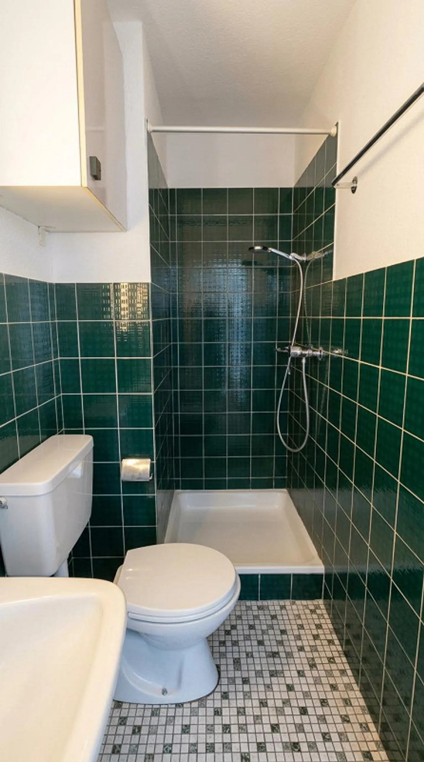 Monolocale a Buchs SG – compatto, pratico, facile da mantenere - Foto 3 di 4