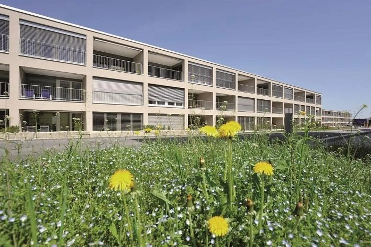 Visite : Mercredi 10 décembre 2025 de 16h00 à 16h30 - Photo 1 sur 4