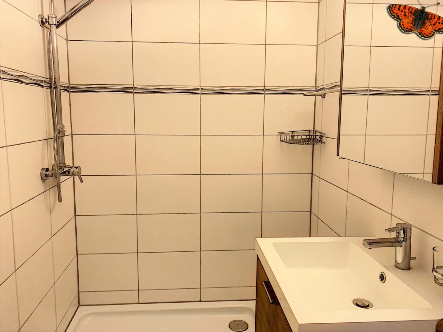 AMPIO APPARTAMENTO 4 STANZE - Ideale per una condivisione! - Foto 9 di 9
