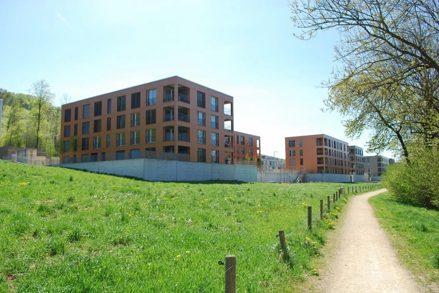 Ampio appartamento di 2 ½ stanze in una posizione privilegiata a Olten - Foto 2 di 8