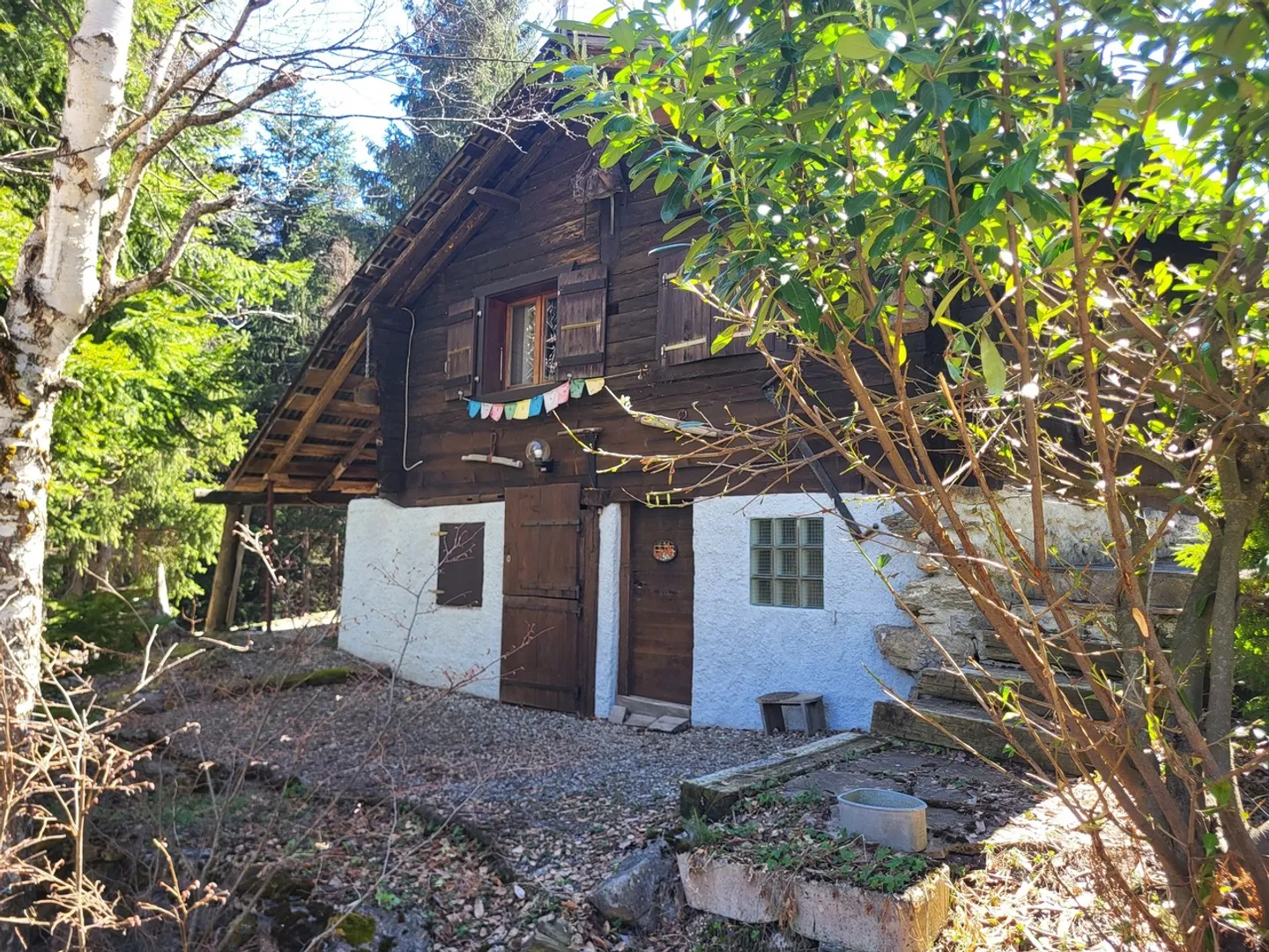 «CHALET  DI  CHARME VALLE DEL SANETSCH Solo residenza secondaria» - Foto 19 di 21