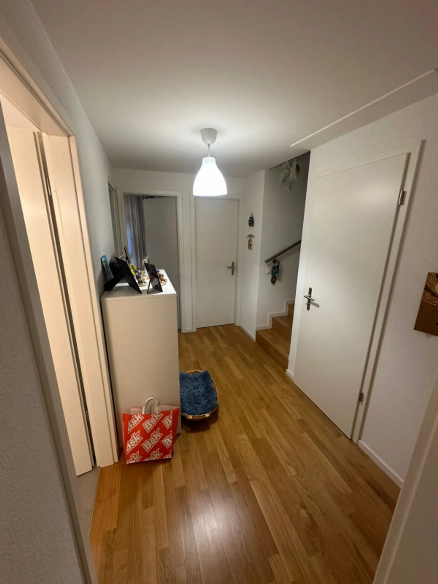 Spacious Apartment in Satigny - Photo 9 of 12