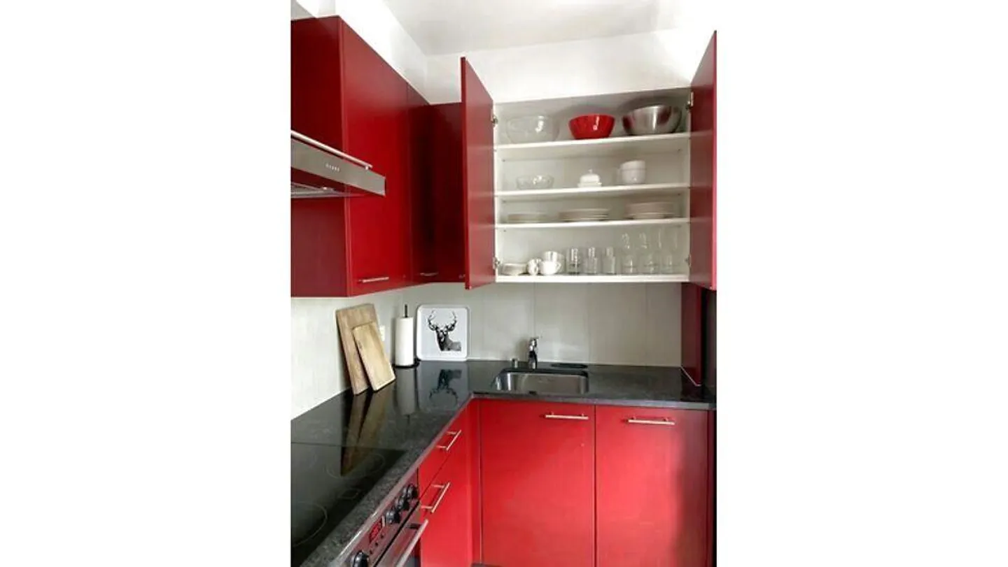 NON-SMOKING APARTMENT IN MUTTENZ (BL), FURNISHED - Photo 5 of 10