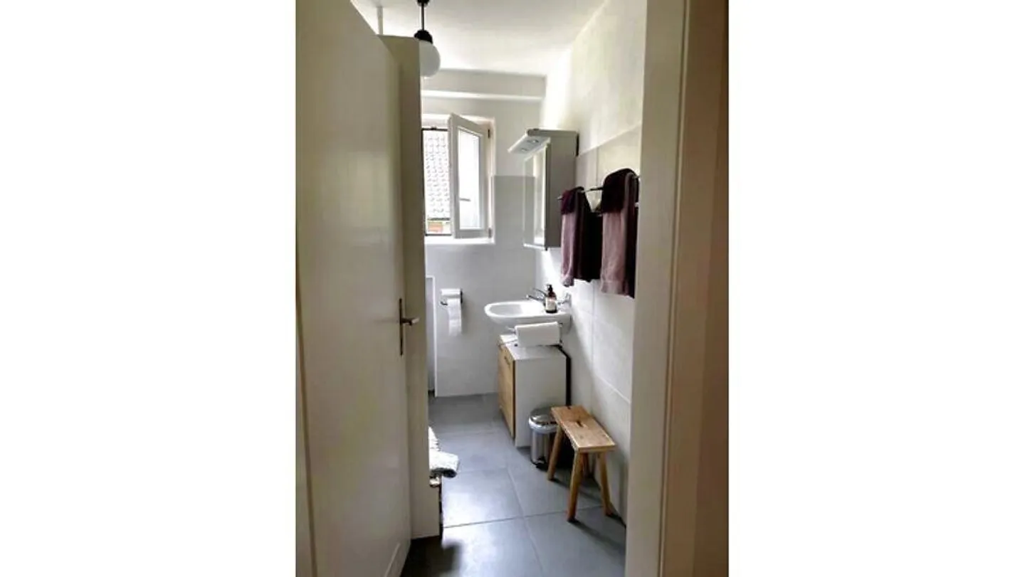 NON-SMOKING APARTMENT IN MUTTENZ (BL), FURNISHED - Photo 8 of 10