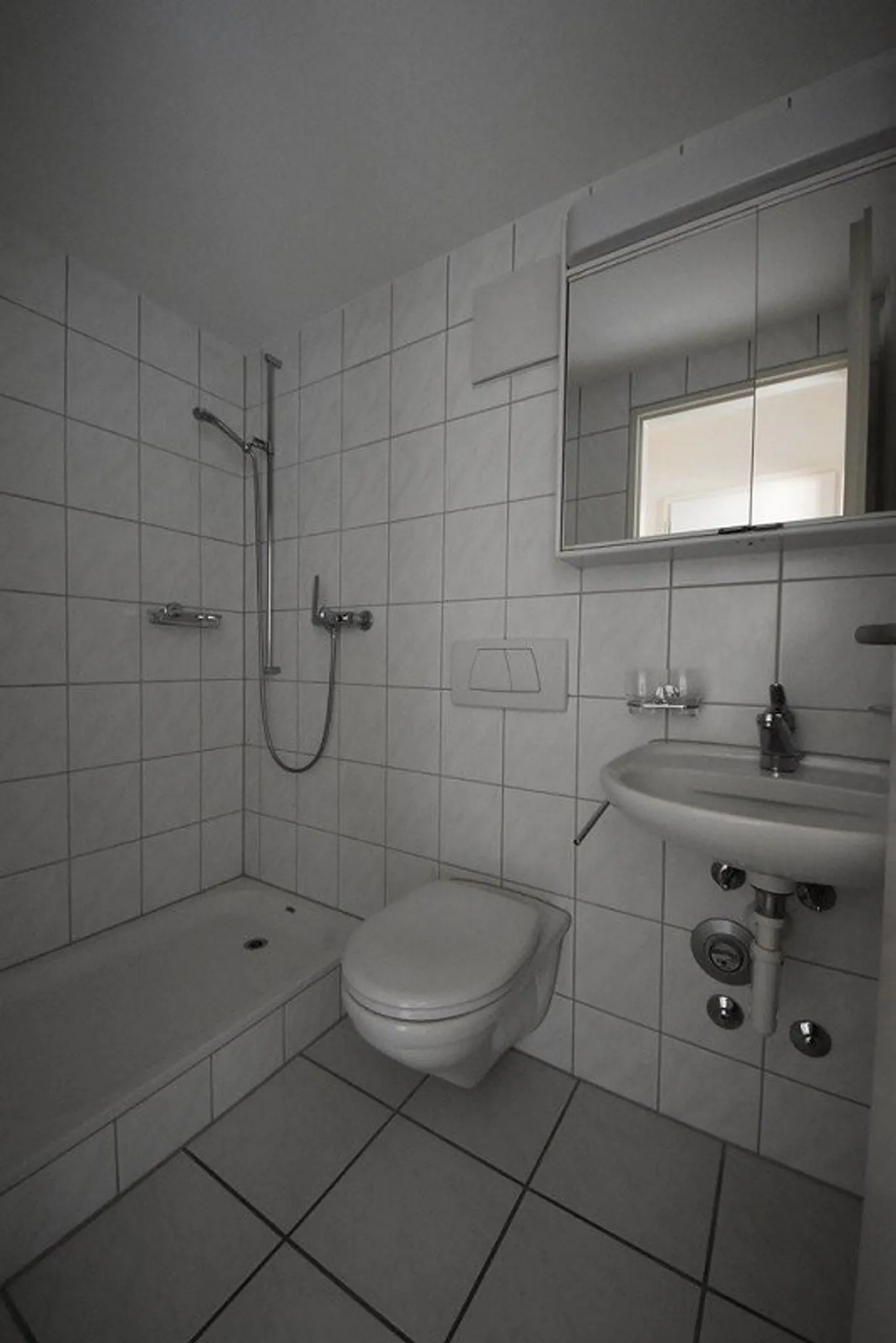 SMALL BUT FINE IN THE HEART OF PRATTELN - Photo 4 of 5