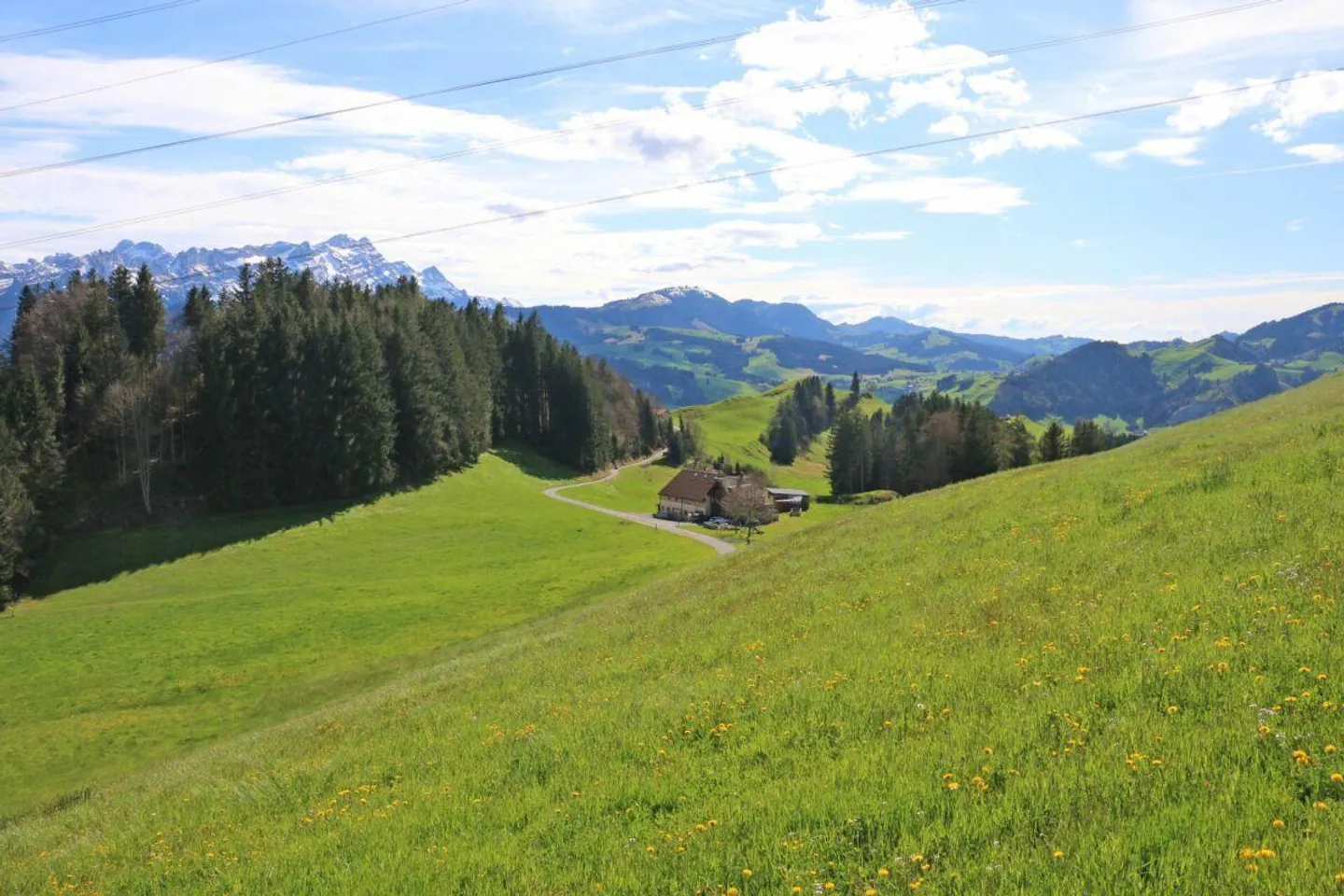 Lotti edificabili esclusivi a Brenden con vista mozzafiato sull'Alpstein... - Foto 1 di 12