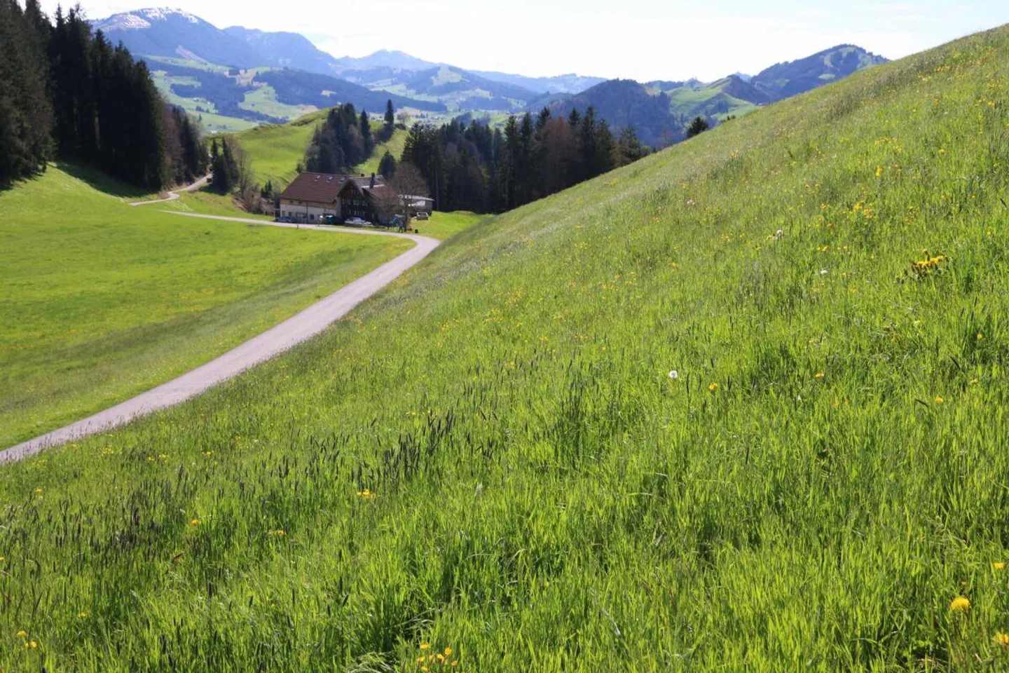Lotti edificabili esclusivi a Brenden con vista mozzafiato sull'Alpstein... - Foto 4 di 12