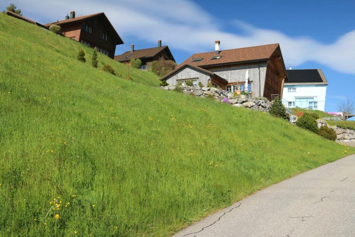 Lotti edificabili esclusivi a Brenden con vista mozzafiato sull'Alpstein... - Foto 6 di 12