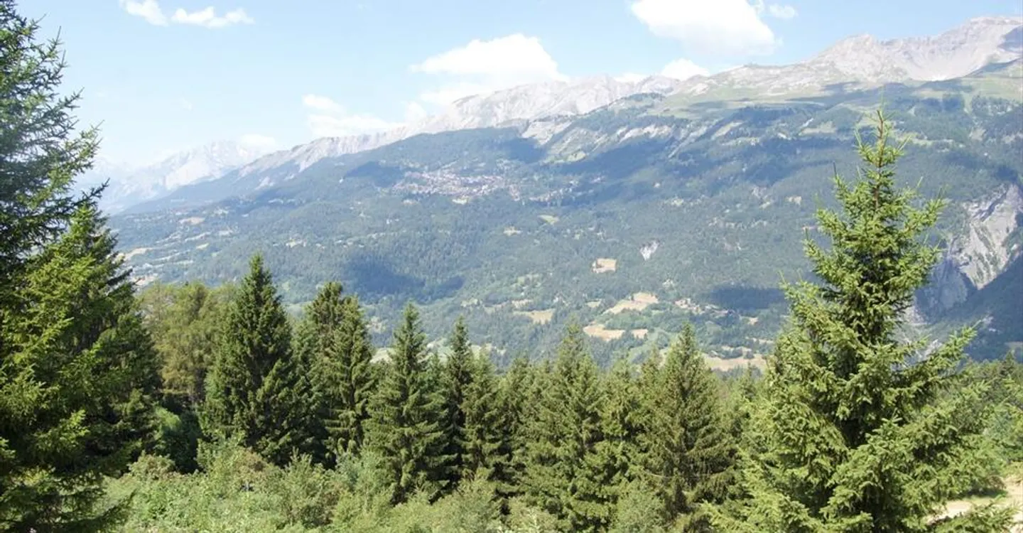Chalet - Photo 9 of 25