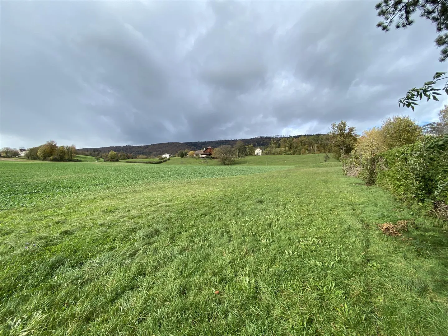 Baugrundstück - Foto 1 von 4