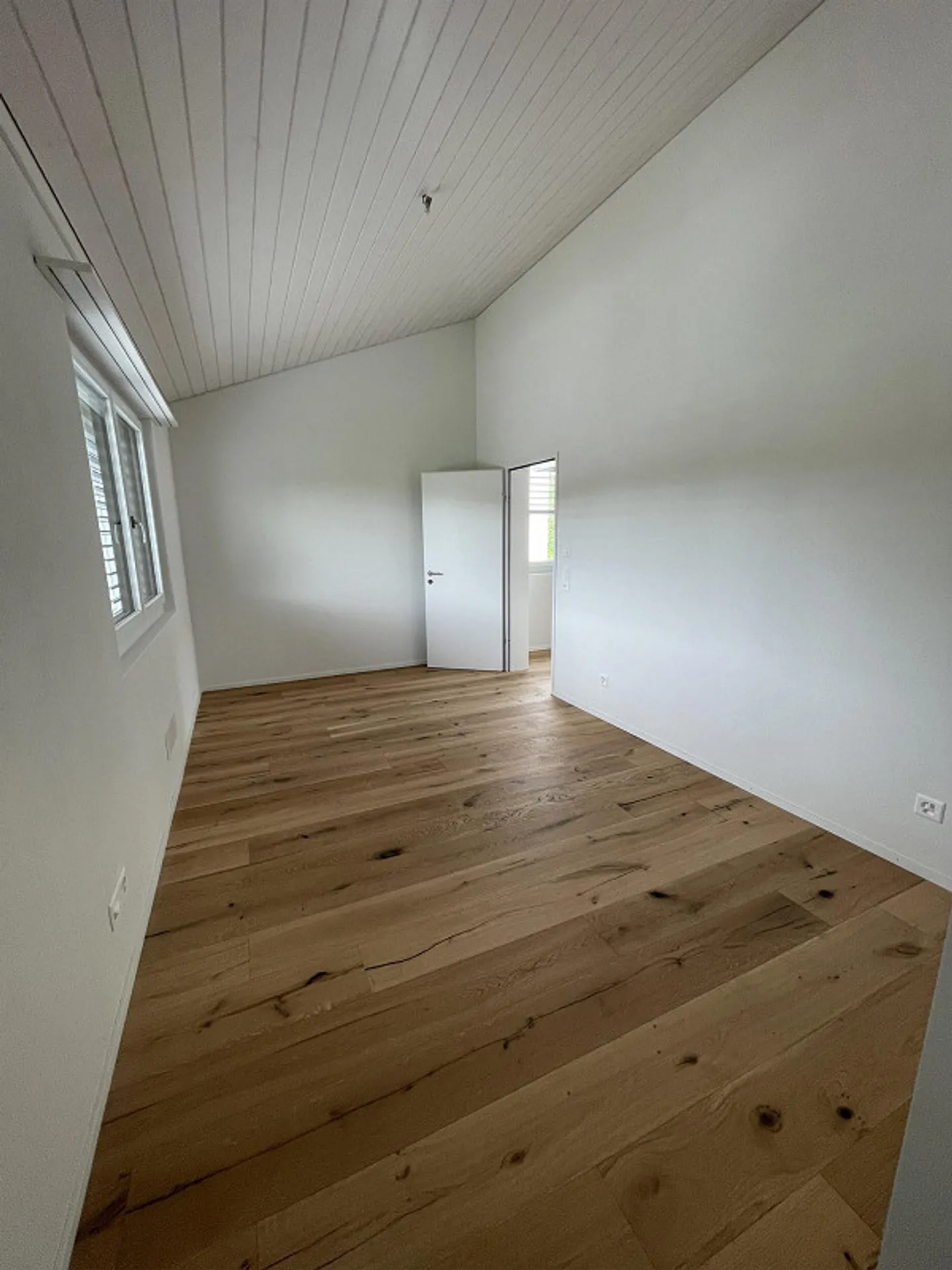 SECHSFACH Development: 6.5-Room Single-Family Homes - Photo 7 of 21