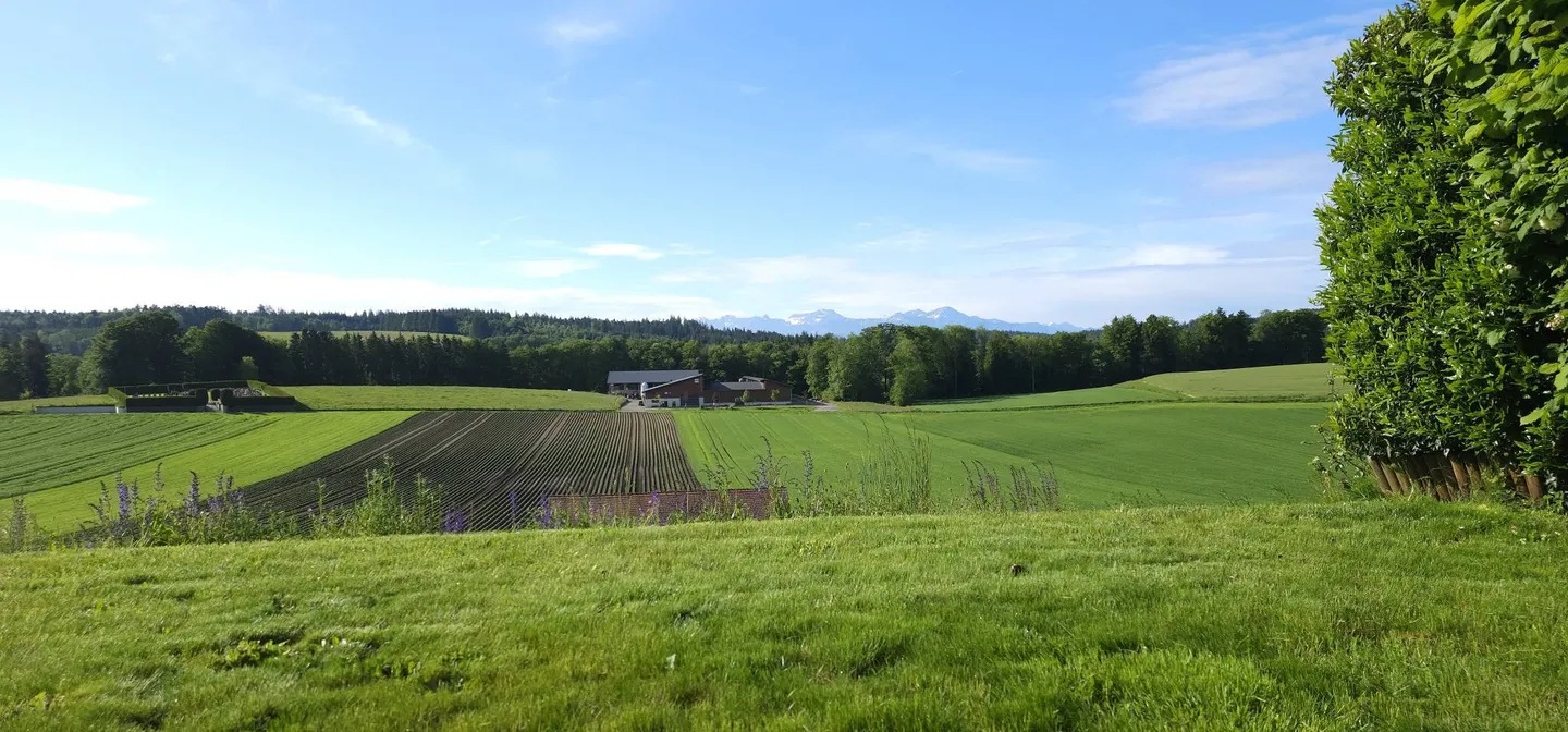 Appartamento di 3,5 locali con grande giardino - Foto 2 di 8