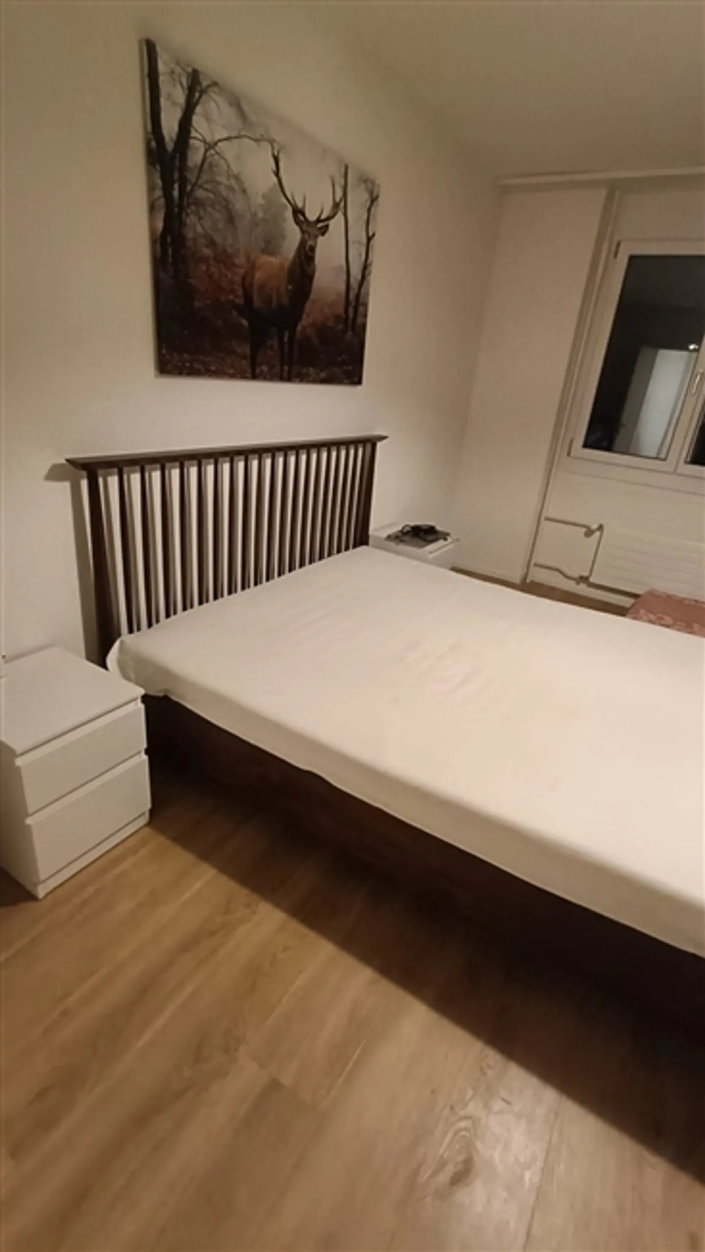 Incantevole appartamento arredato con 2,5 stanze a Zurigo Schwamendingen - Foto 5 di 12