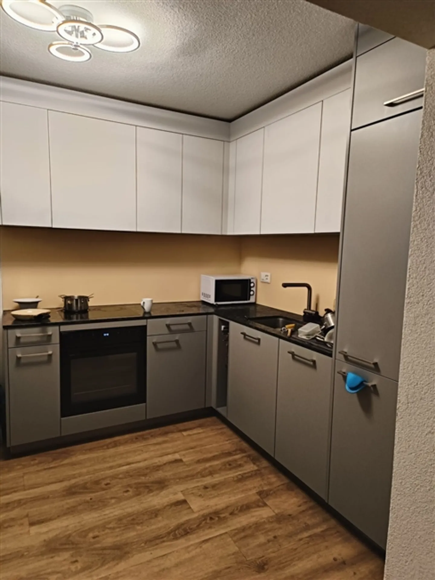 Incantevole appartamento arredato con 2,5 stanze a Zurigo Schwamendingen - Foto 8 di 12