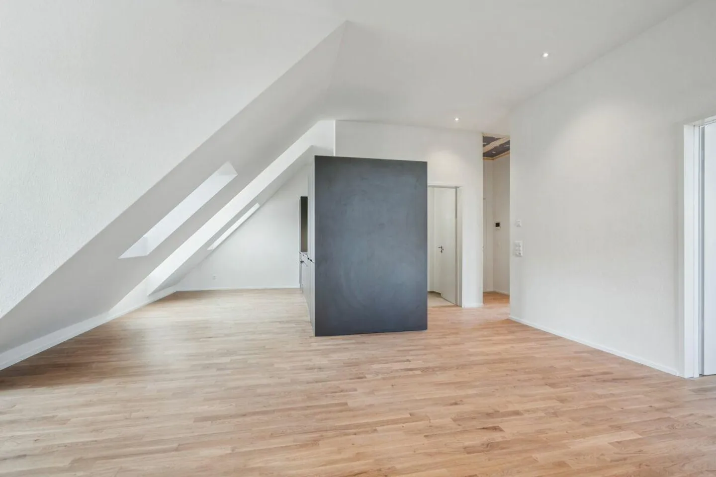 Last Chance: Exclusive Penthouse with Rooftop Terrace - Photo 5 of 12