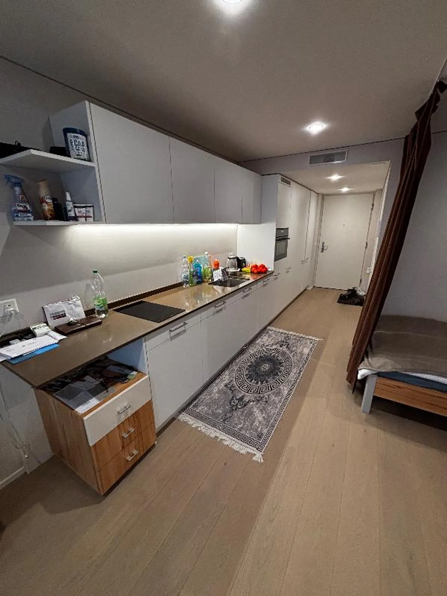 Stylish 1.5 Room Apartment for Rent - Photo 2 of 5