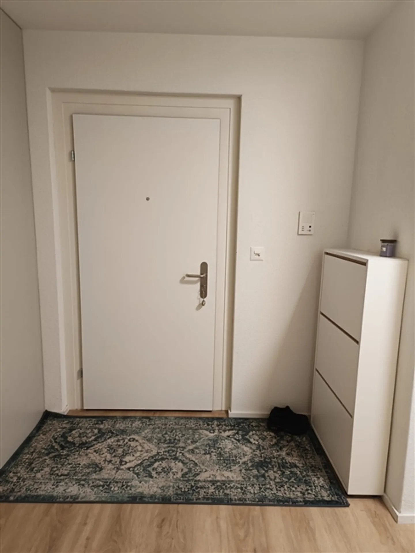 Incantevole appartamento arredato con 2,5 stanze a Zurigo Schwamendingen - Foto 12 di 12