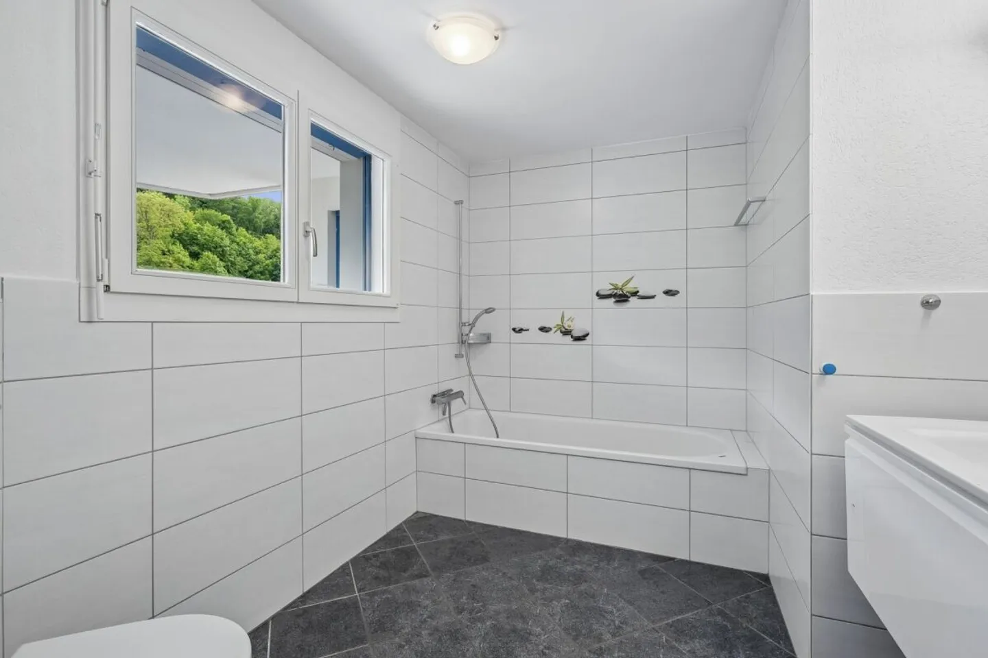 Charming 4.5-Room Apartment - Photo 4 of 13