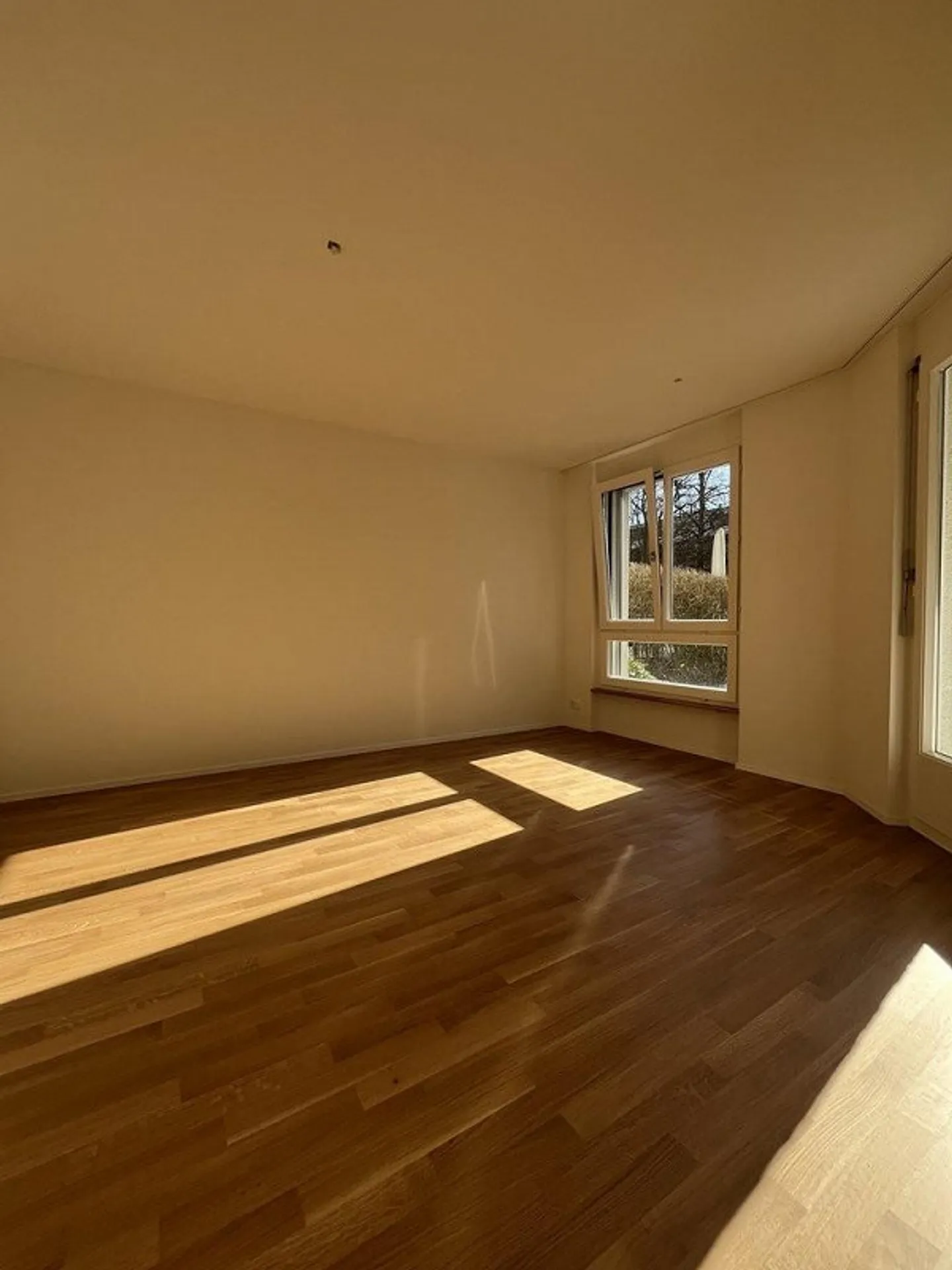 Prima locazione - Appartamento giardino luminoso in affitto.... - Foto 4 di 10