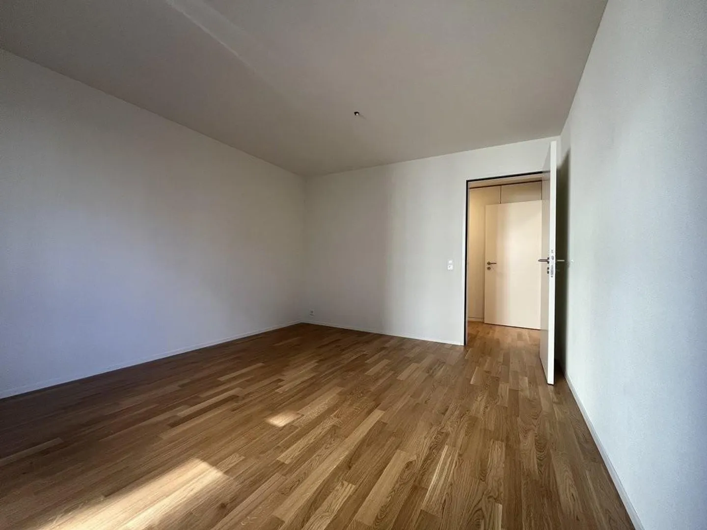 Prima locazione - Appartamento giardino luminoso in affitto.... - Foto 5 di 10