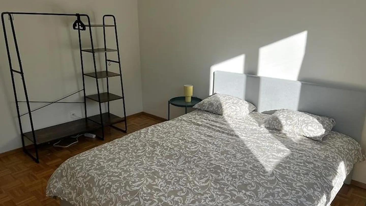 APPARTAMENTO 3½ LOCALI A PREGASSONA (TI), ARREDATO - Foto 5 di 10