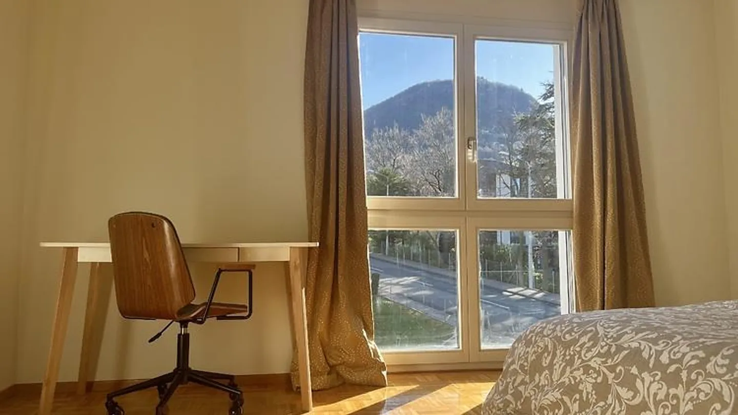 APPARTAMENTO 3½ LOCALI A PREGASSONA (TI), ARREDATO - Foto 6 di 10