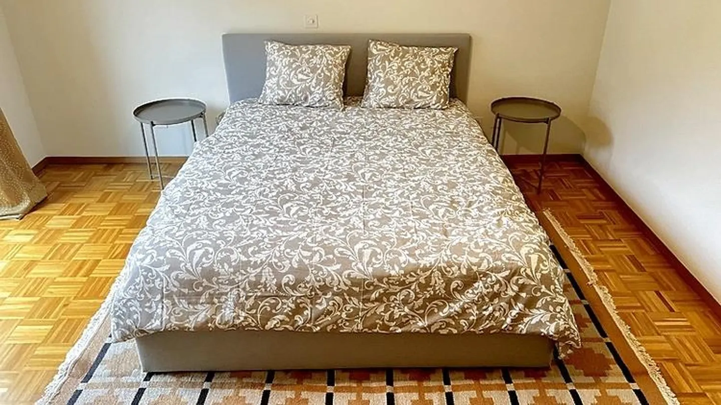 APPARTAMENTO 3½ LOCALI A PREGASSONA (TI), ARREDATO - Foto 7 di 10