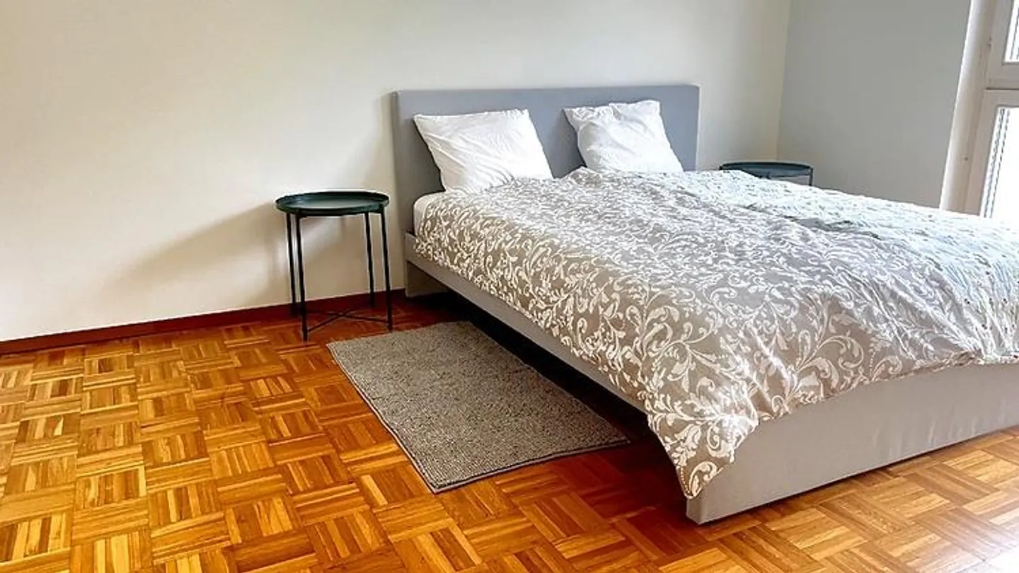 APPARTAMENTO 3½ LOCALI A PREGASSONA (TI), ARREDATO - Foto 8 di 10